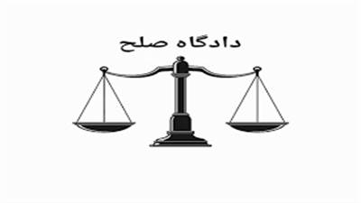دادگاه صلح یک دادگاه جدیدالتاسیس است که صلاحیت رسیدگی به ۲۲ عنوان حقوقی و کیفری را در ۱۱ بند دارد؛ البته اصل تمرکز این دادگاه‌ها بر این است که قبل از صدور رای بتوانند بین طرفین دعوا، سازش ایجاد کنند.